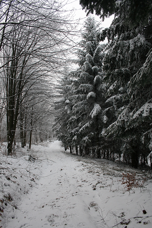 Bieszczady 12.2007 040